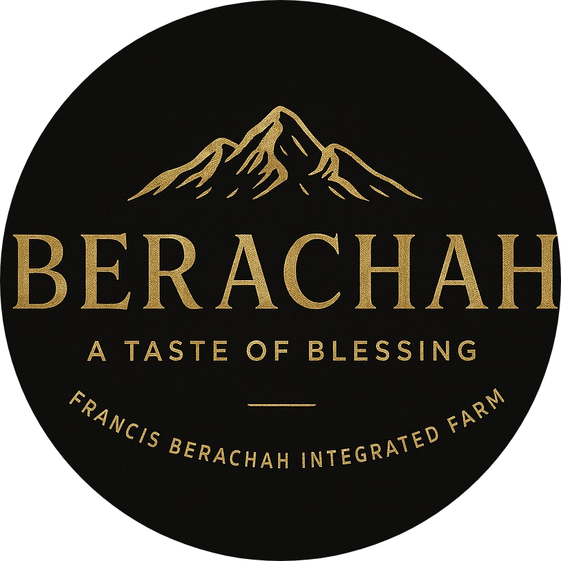 Berachah logo